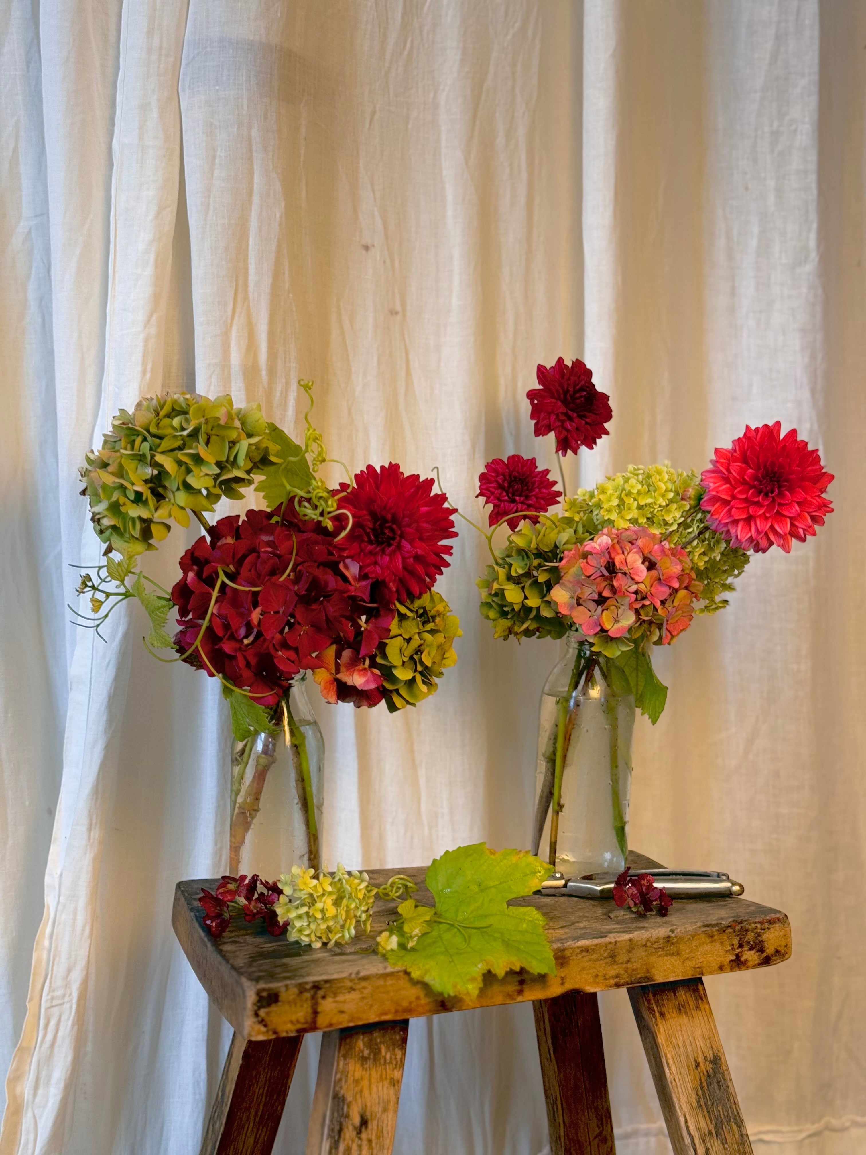 Deluxe Pinot Arrangement