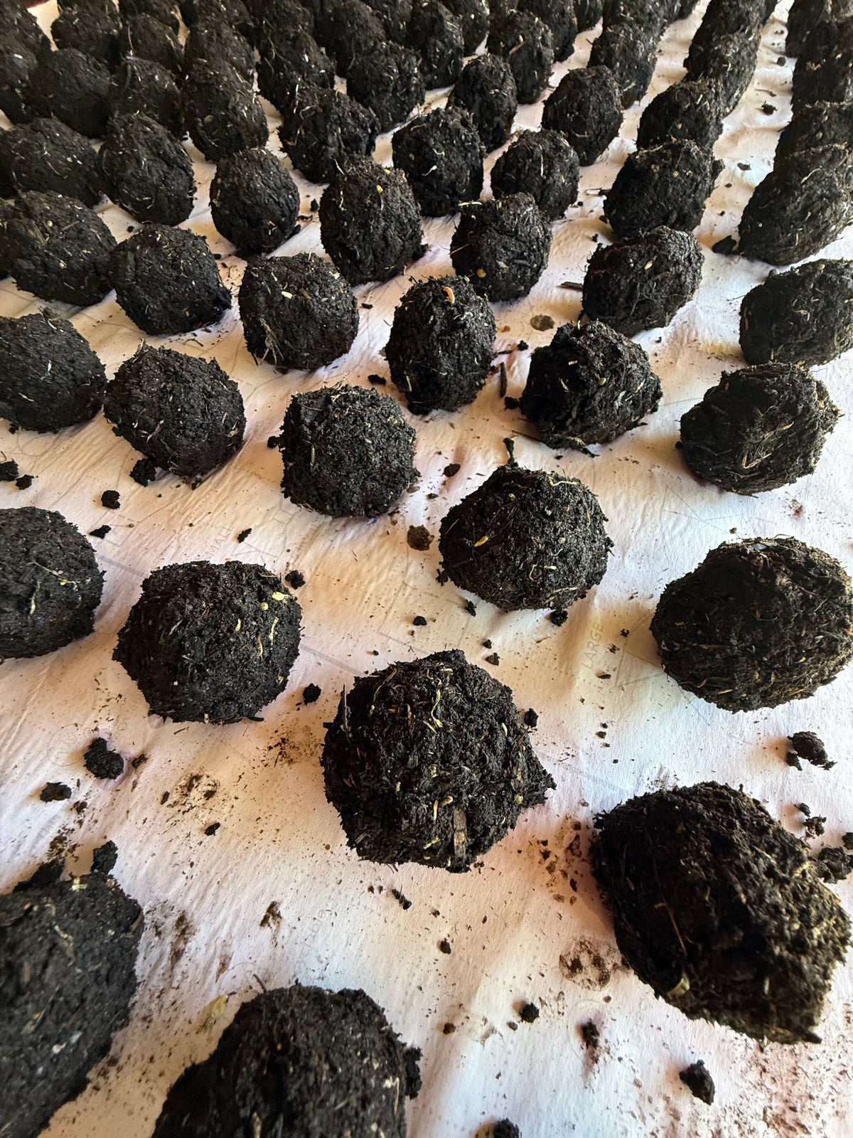 Seed Bomb PICK N MIX