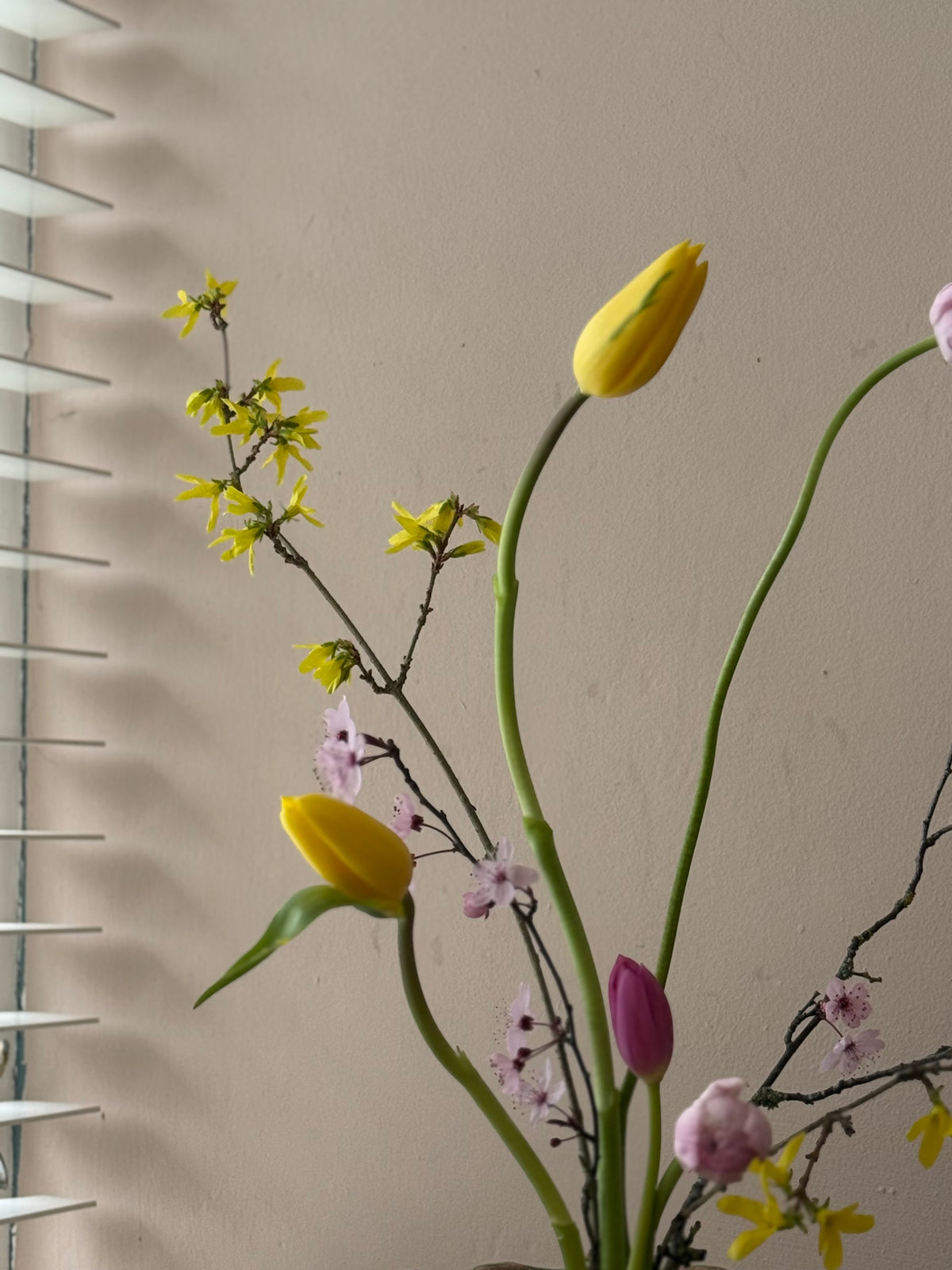Atelier: Understanding Negative Space