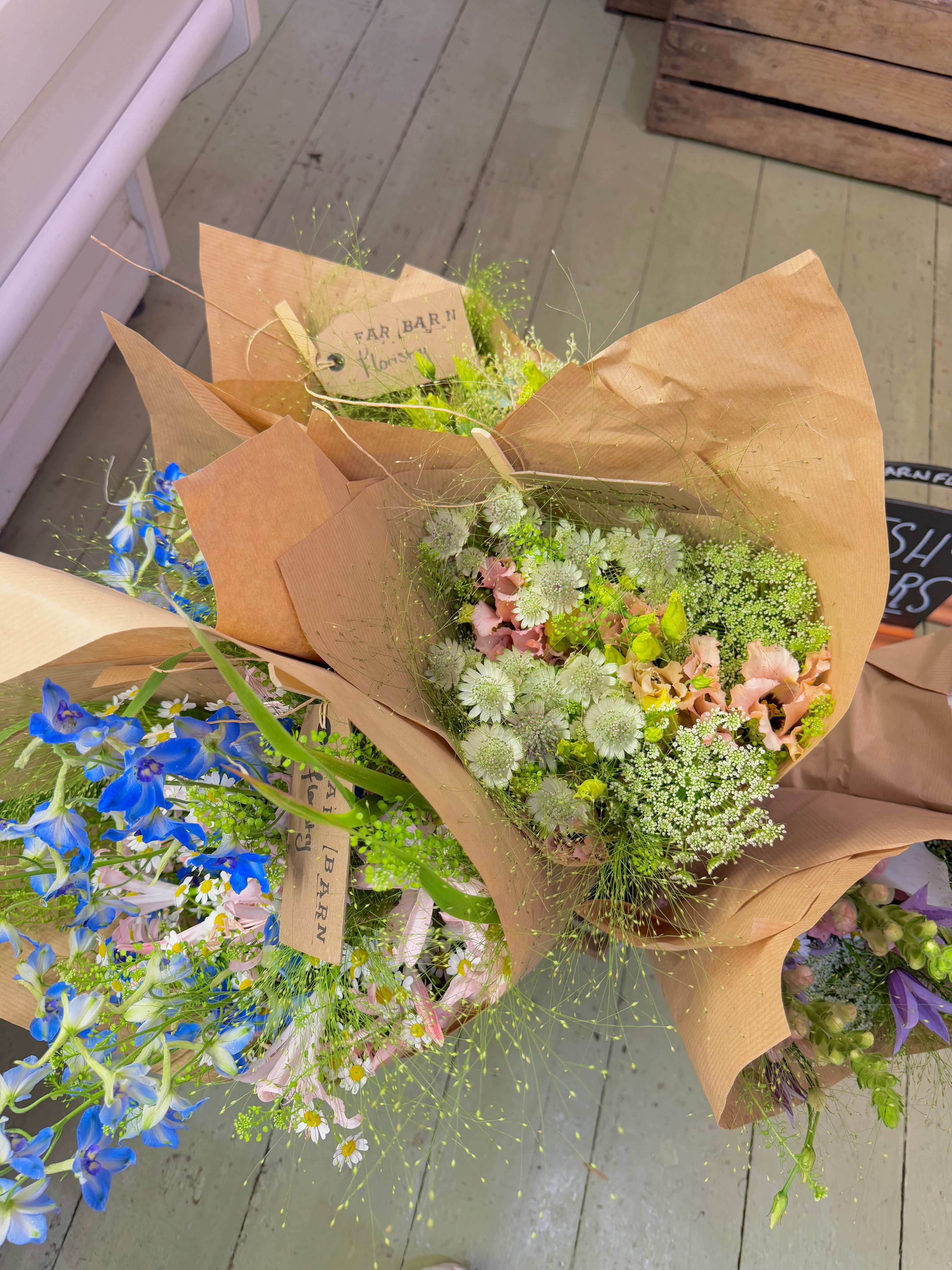 Atelier: Creating a Meadow