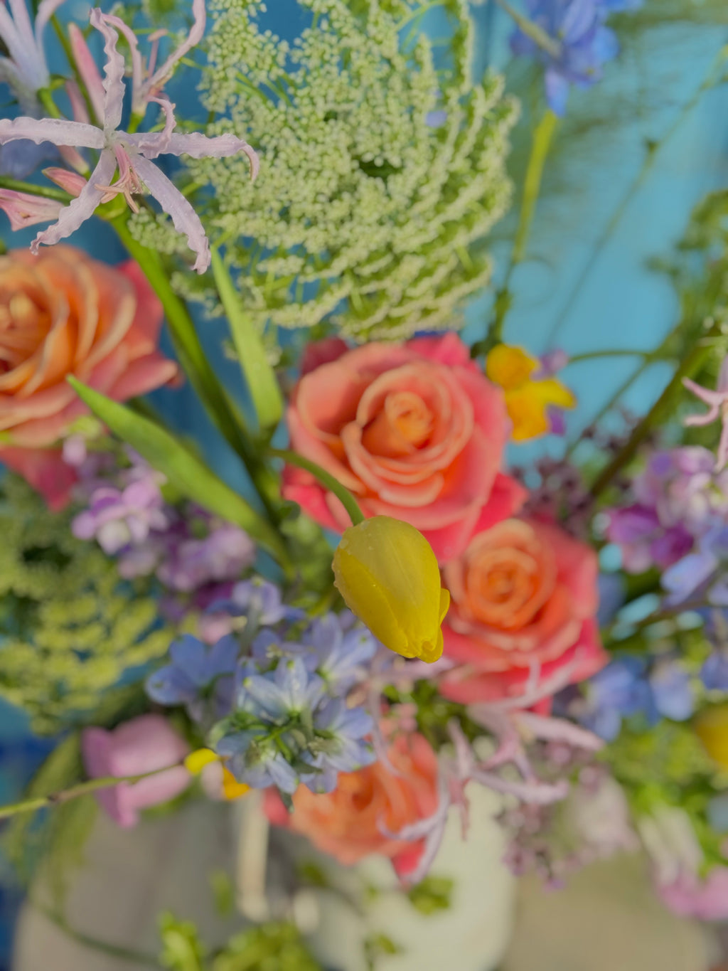 Deluxe Seasonal Medley