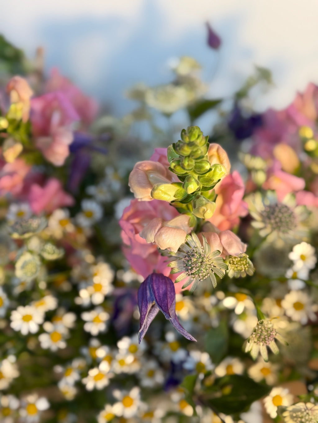 Bouquet of the Month - Meadow