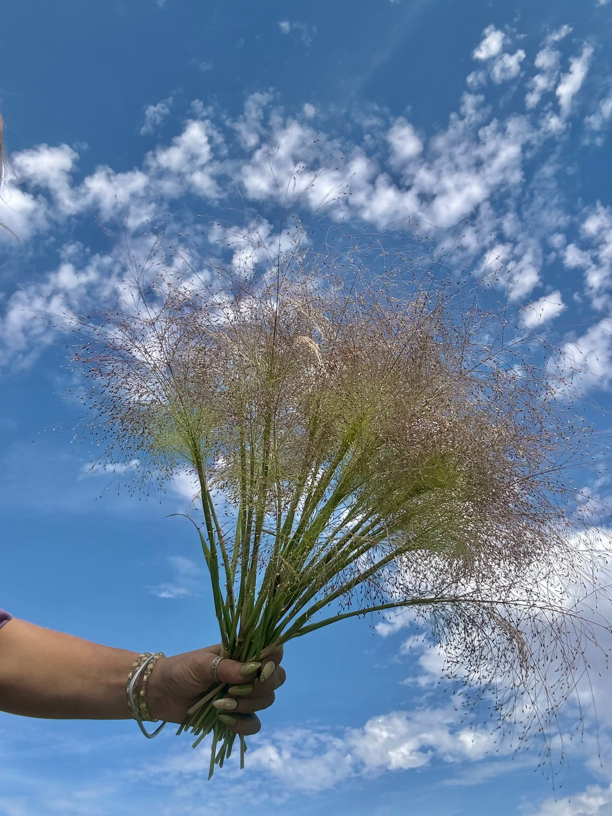 Sprinkle Grass Seeds
