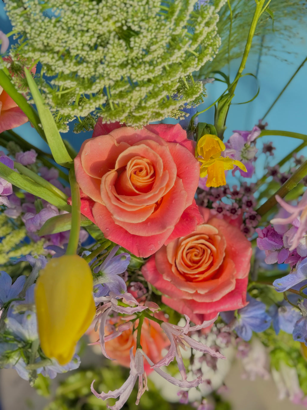 Deluxe Seasonal Medley