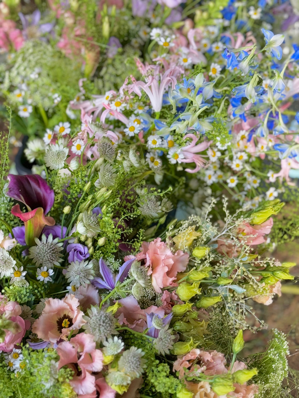 Atelier: Creating a Meadow