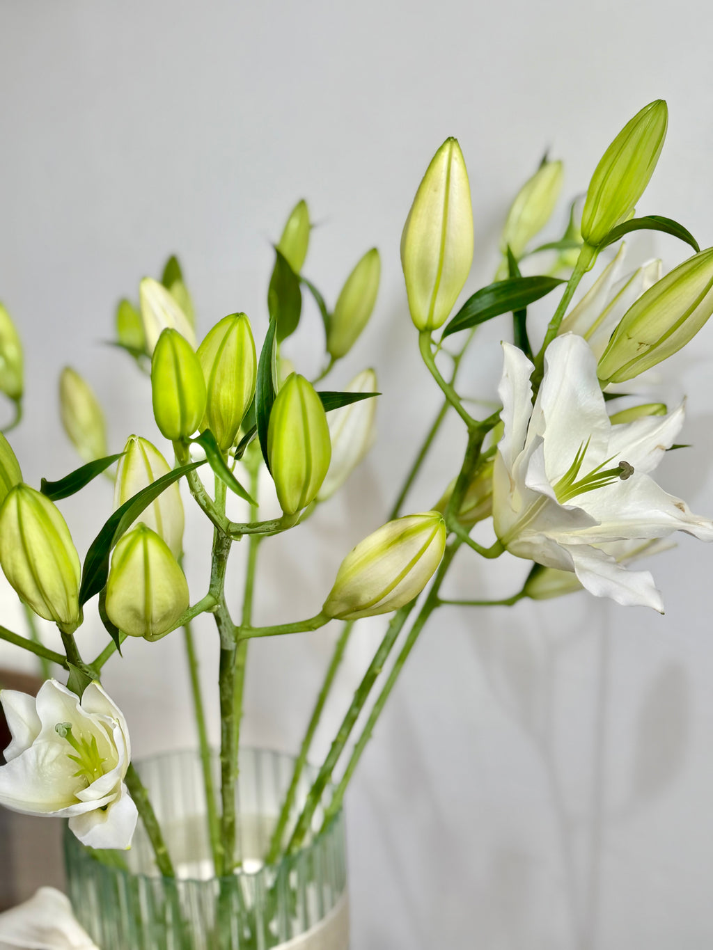Premium Lily Vase