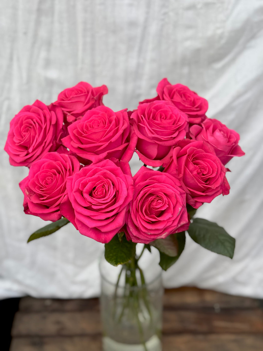 Classic Roses (pink)