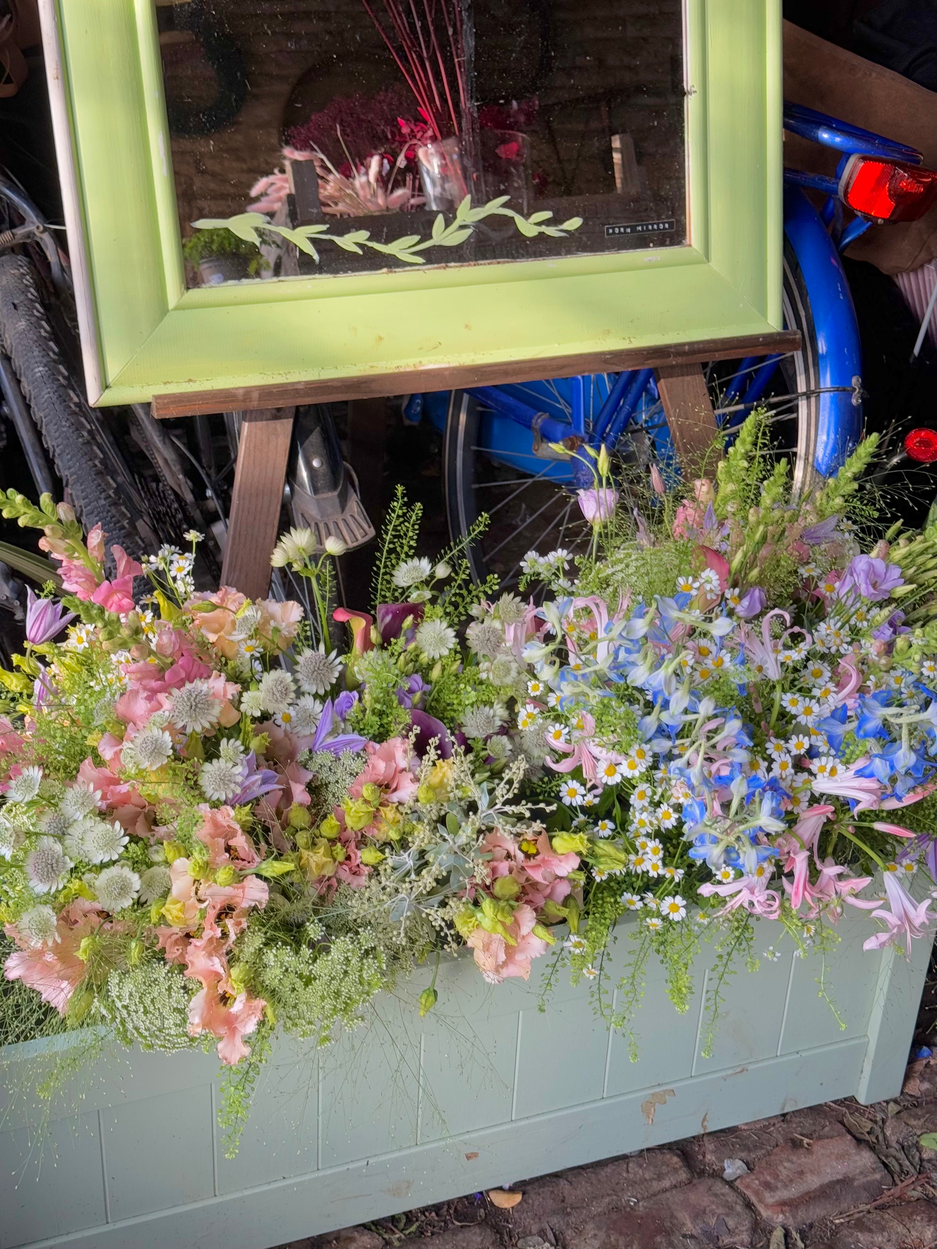 Atelier: Creating a Meadow