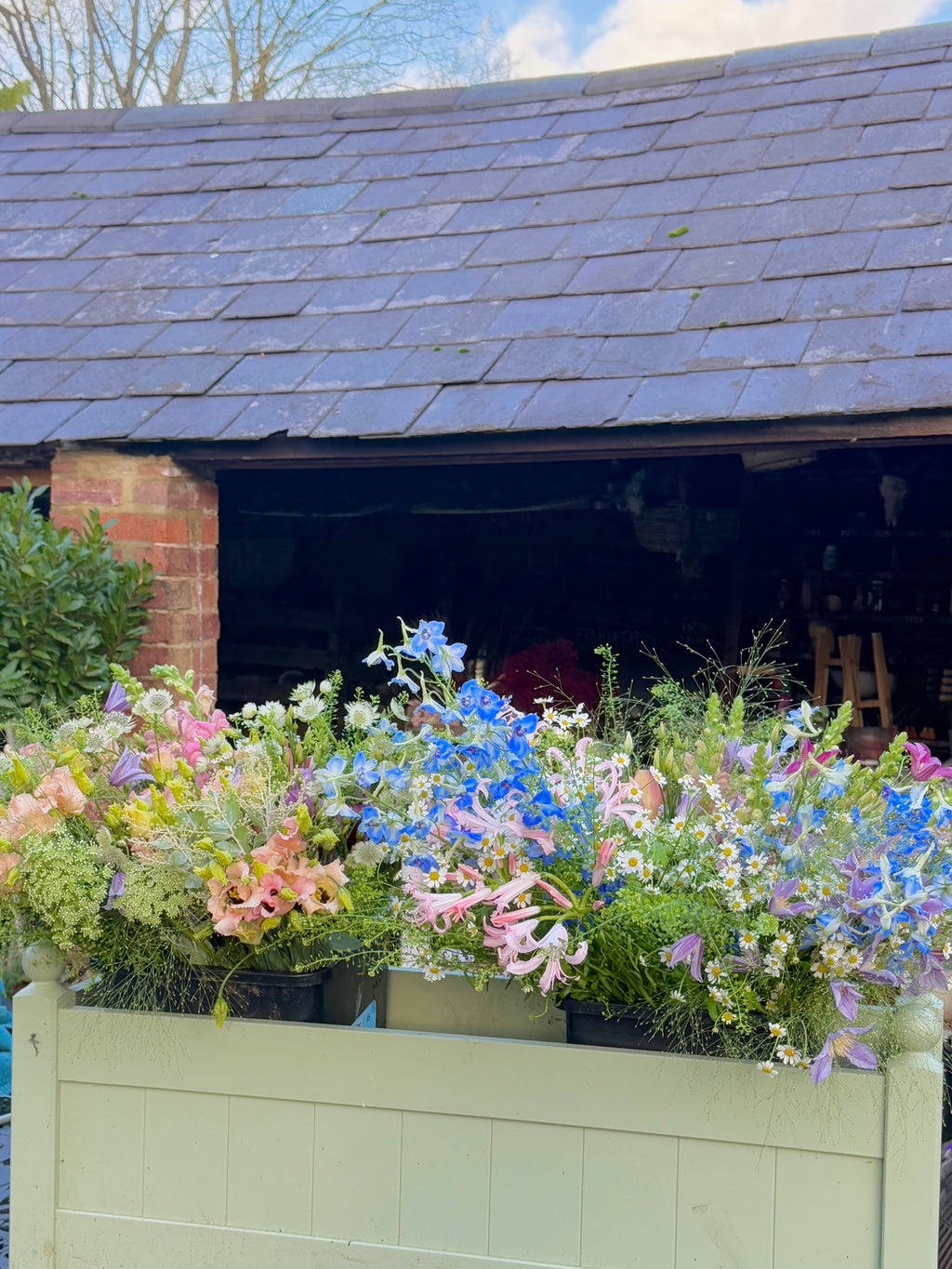 Atelier: Creating a Meadow