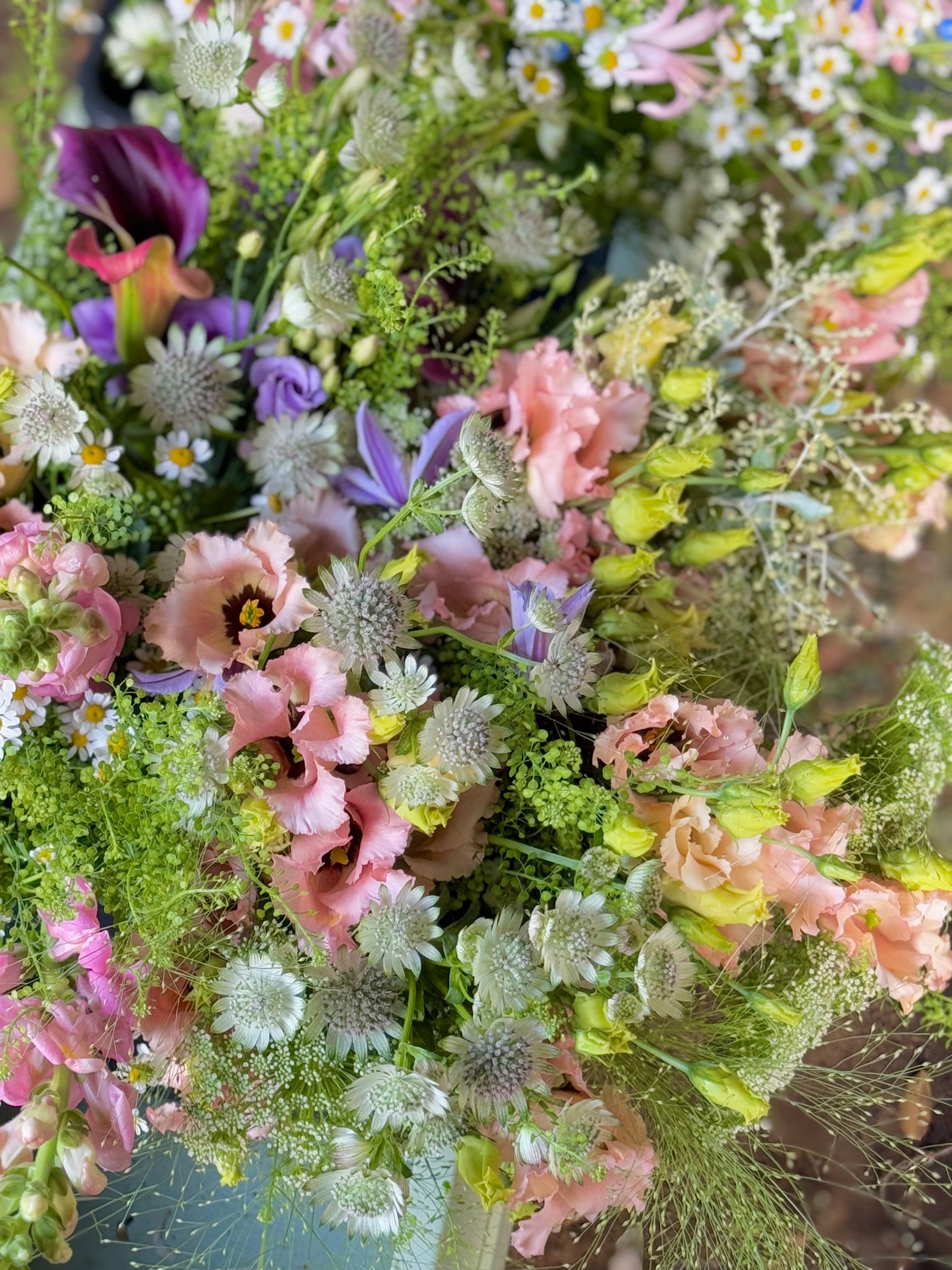 Atelier: Creating a Meadow