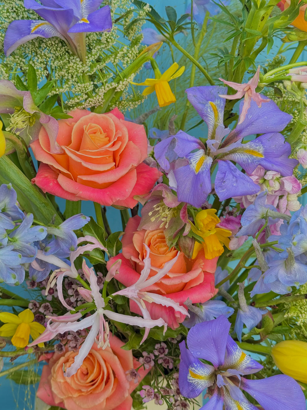 Deluxe Seasonal Medley