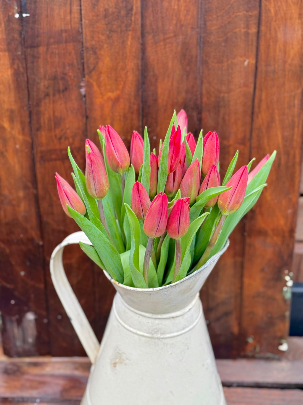 Afternoon Tea & Tulips - Sunday 15/03