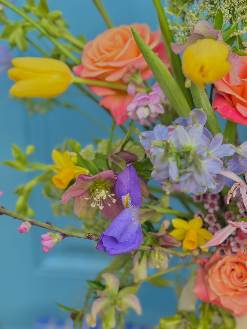 Deluxe Seasonal Medley