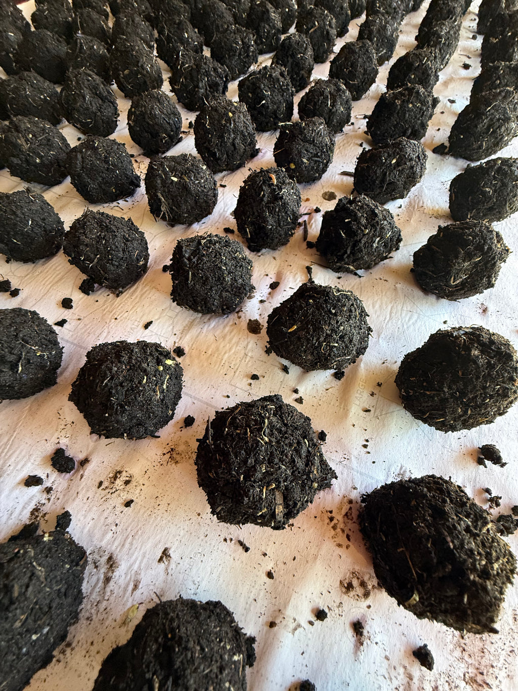 Throw & Grow: Wildflower Seed Bombs