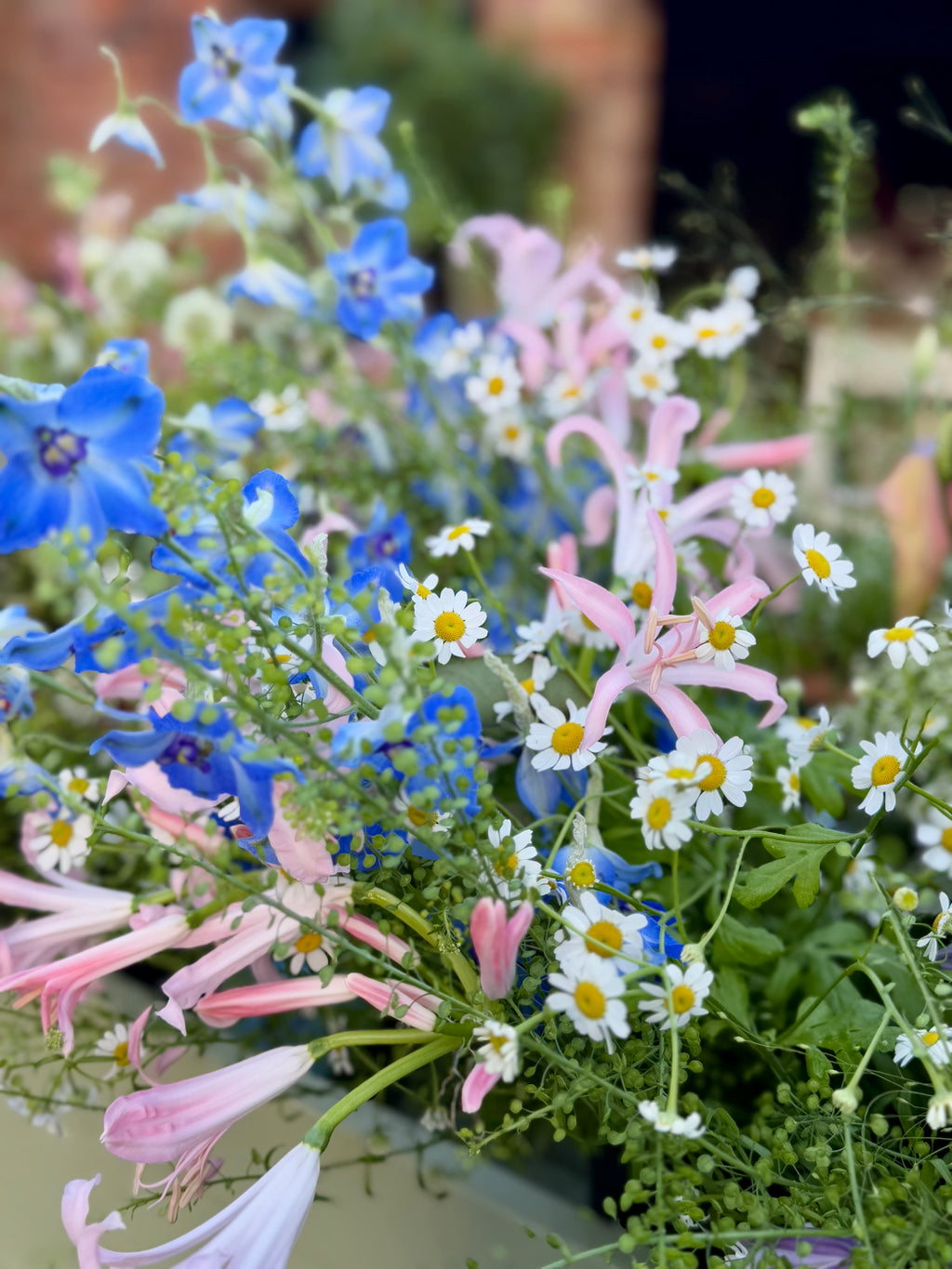 Bouquet of the Month - Meadow