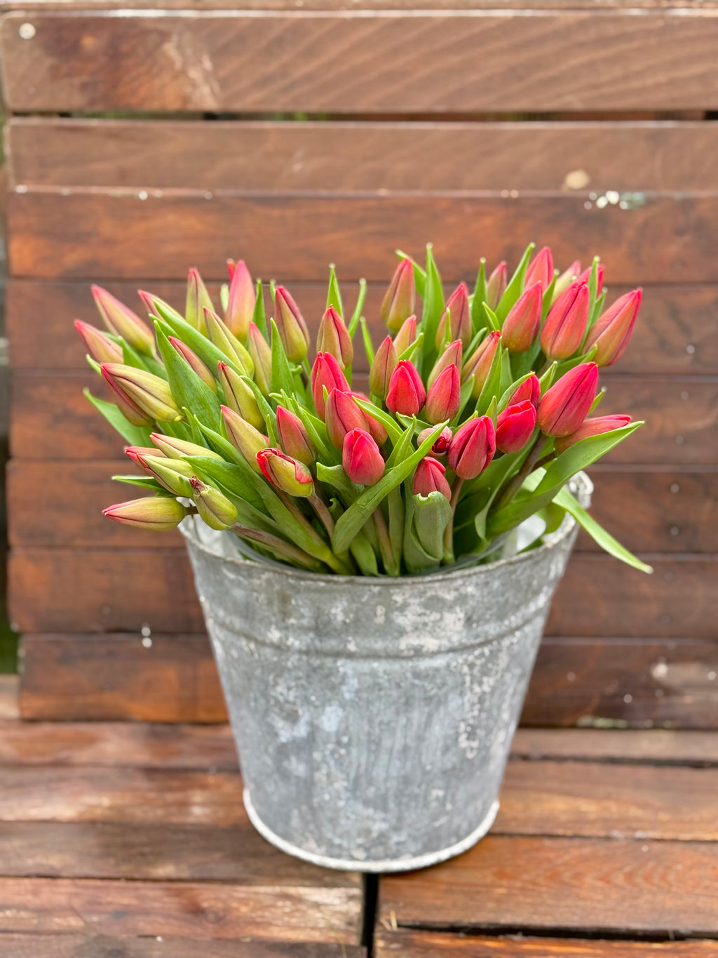 Afternoon Tea & Tulips - Sunday 15/03