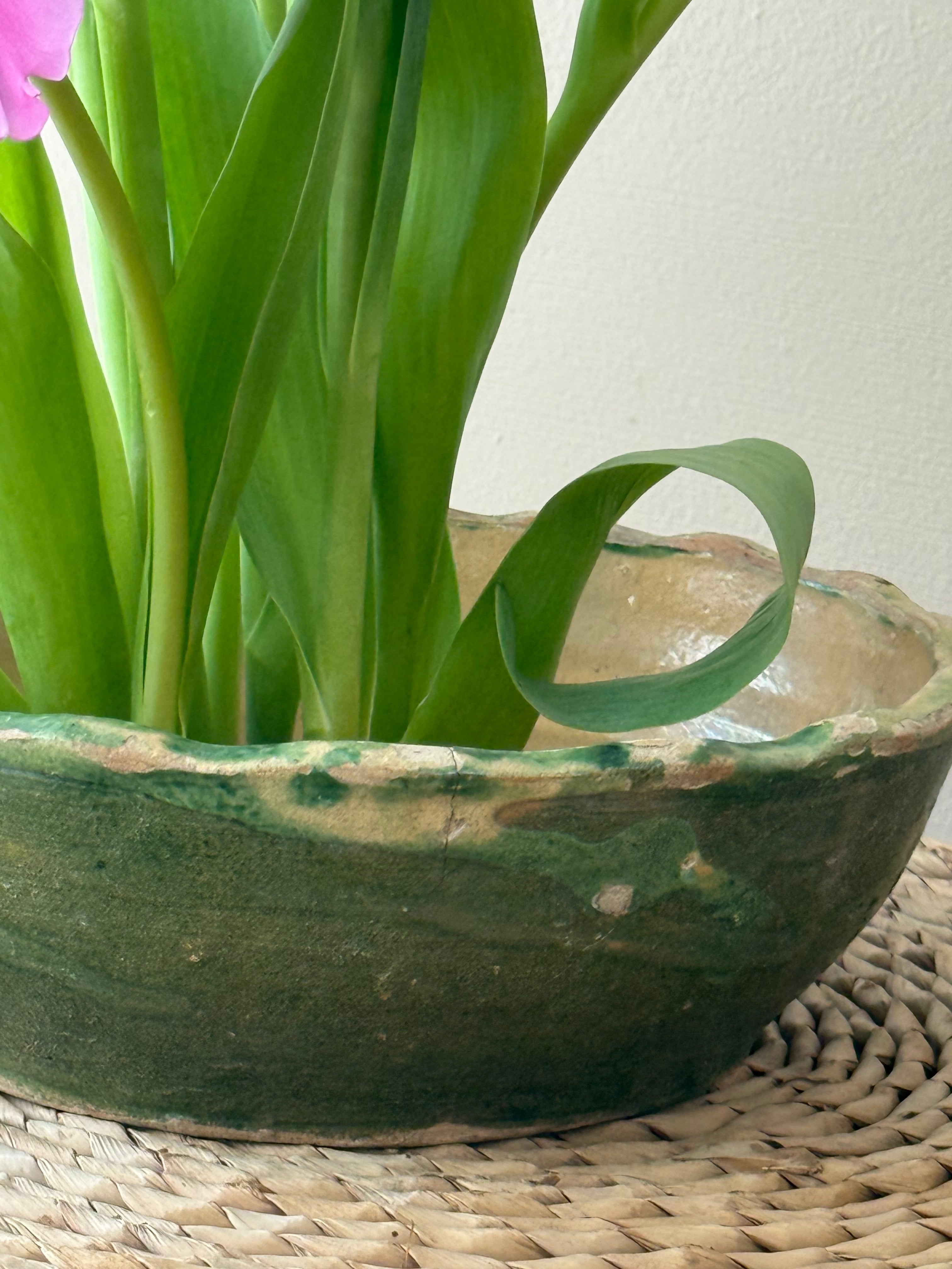 Atelier: The Art of the Ikebana