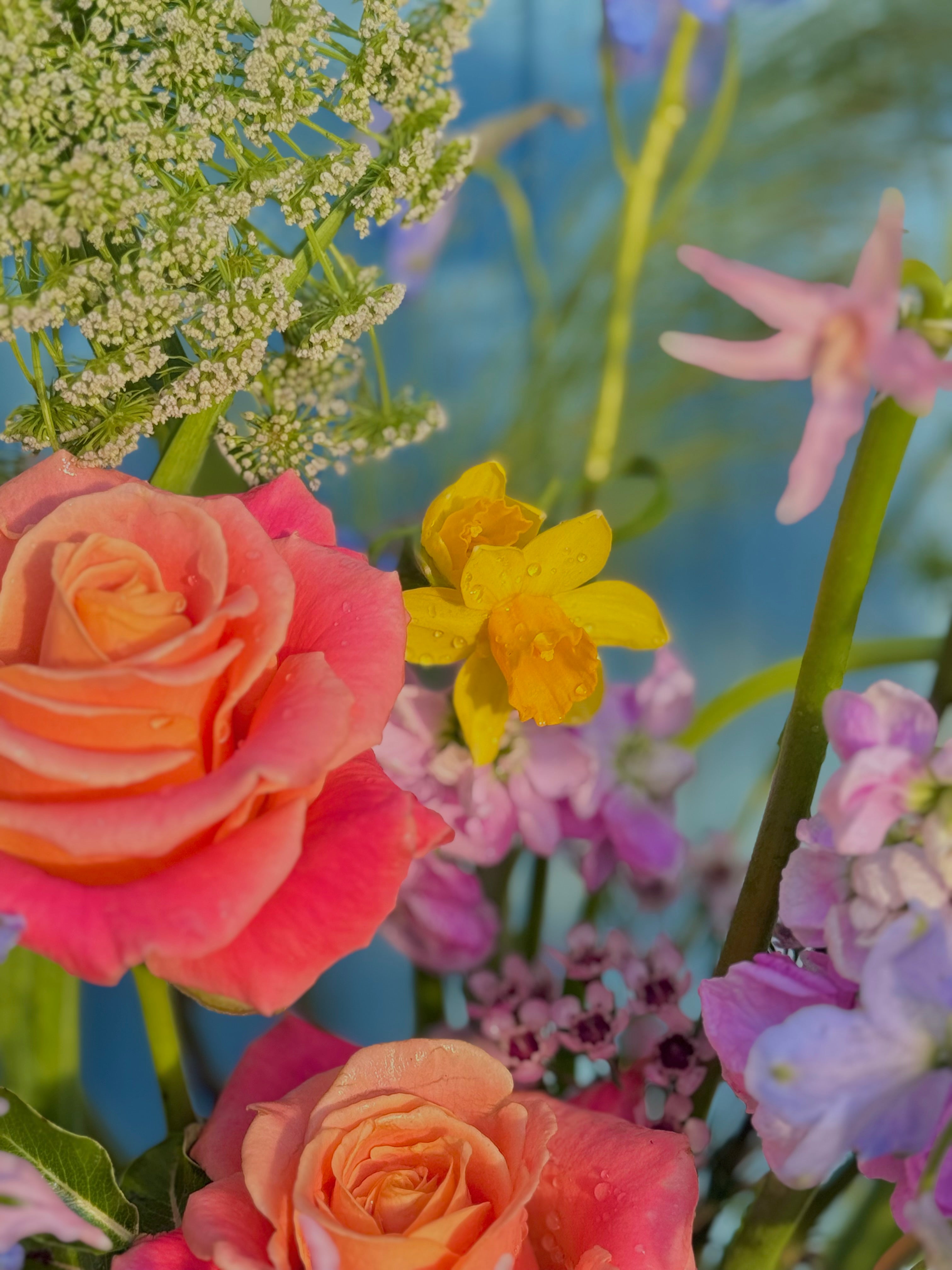 Deluxe Seasonal Medley