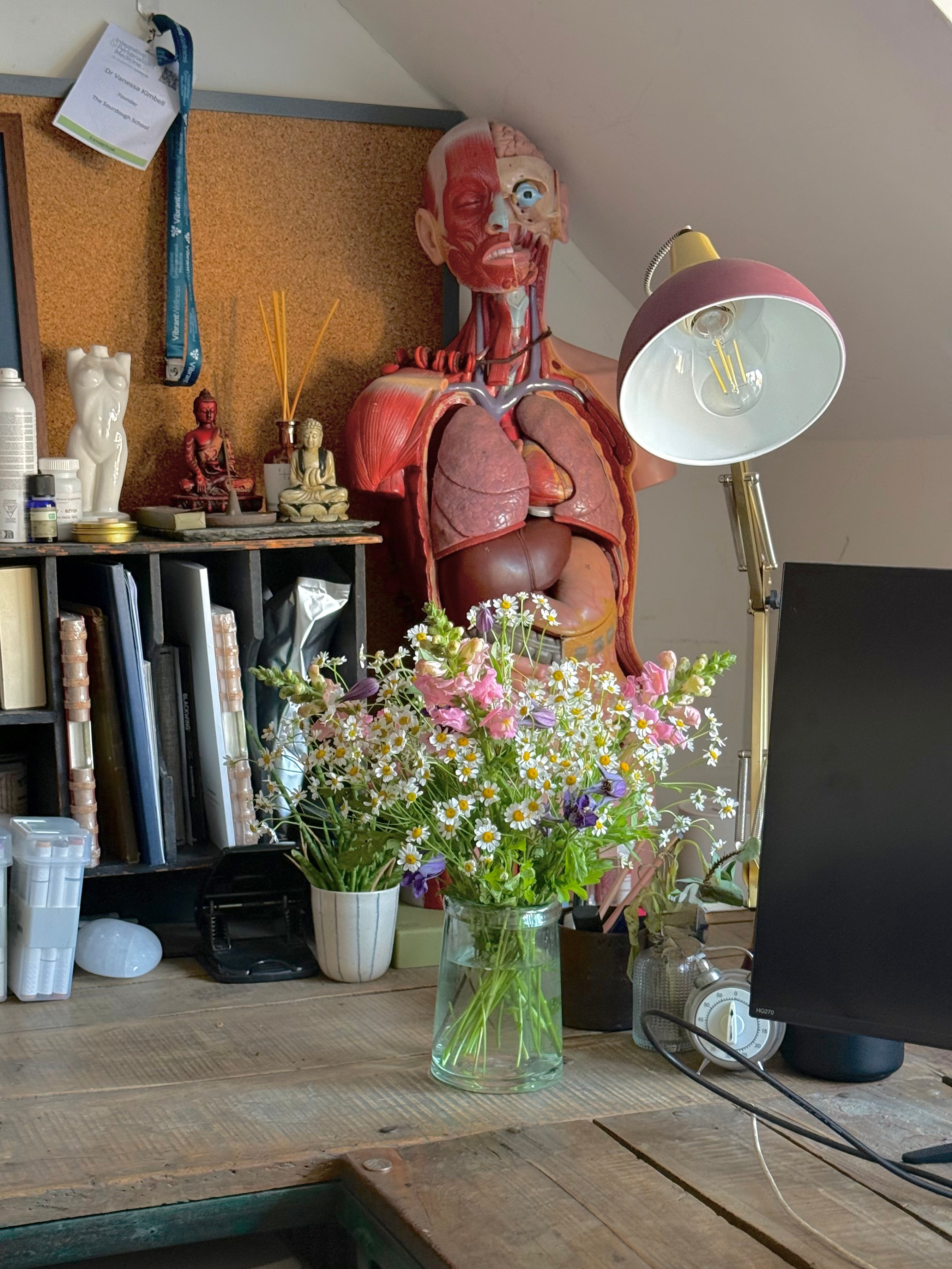 Atelier: Creating a Meadow