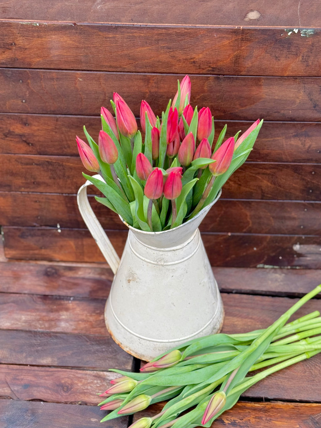 Afternoon Tea & Tulips - Sunday 15/03