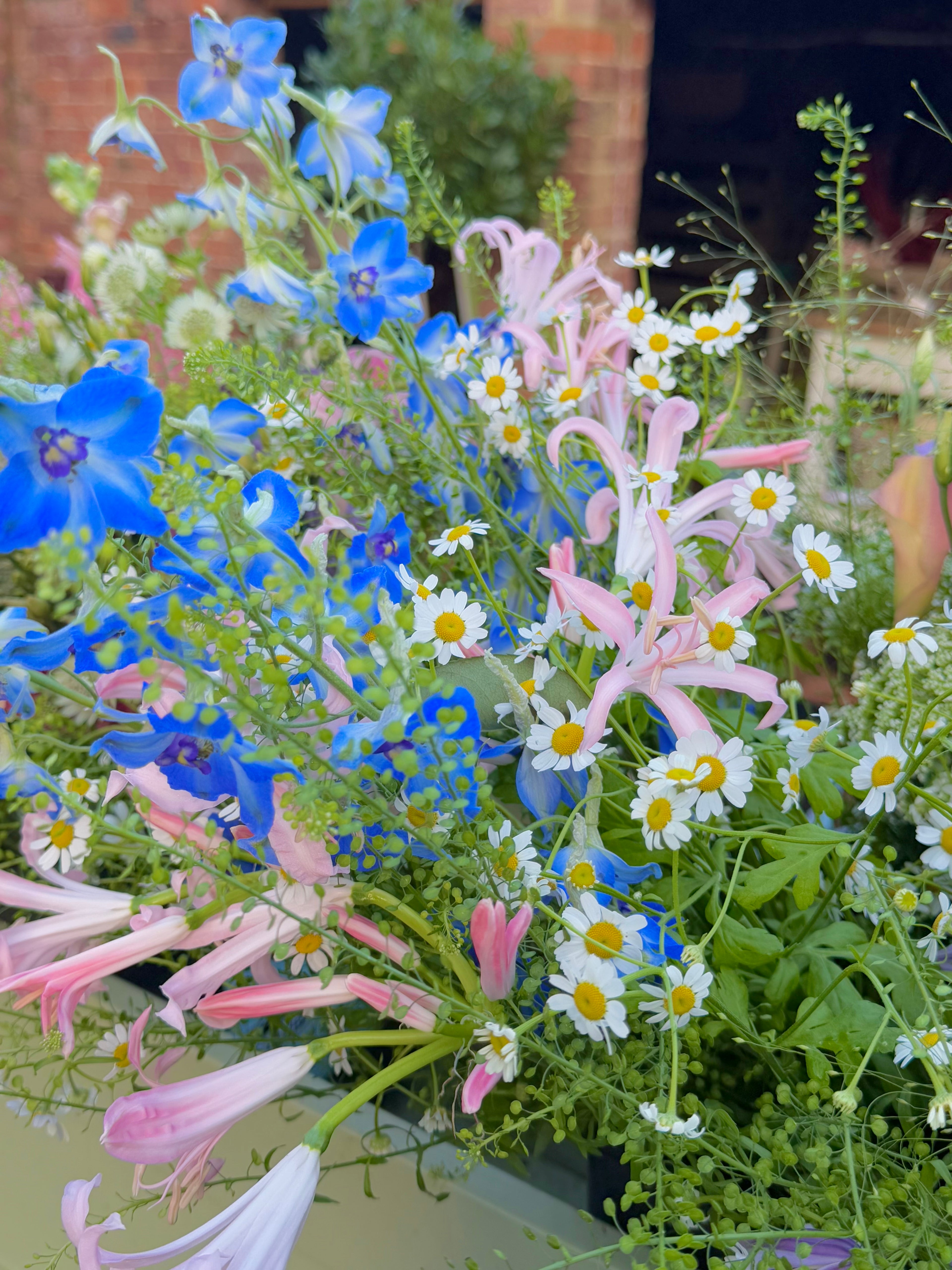 Atelier: Creating a Meadow