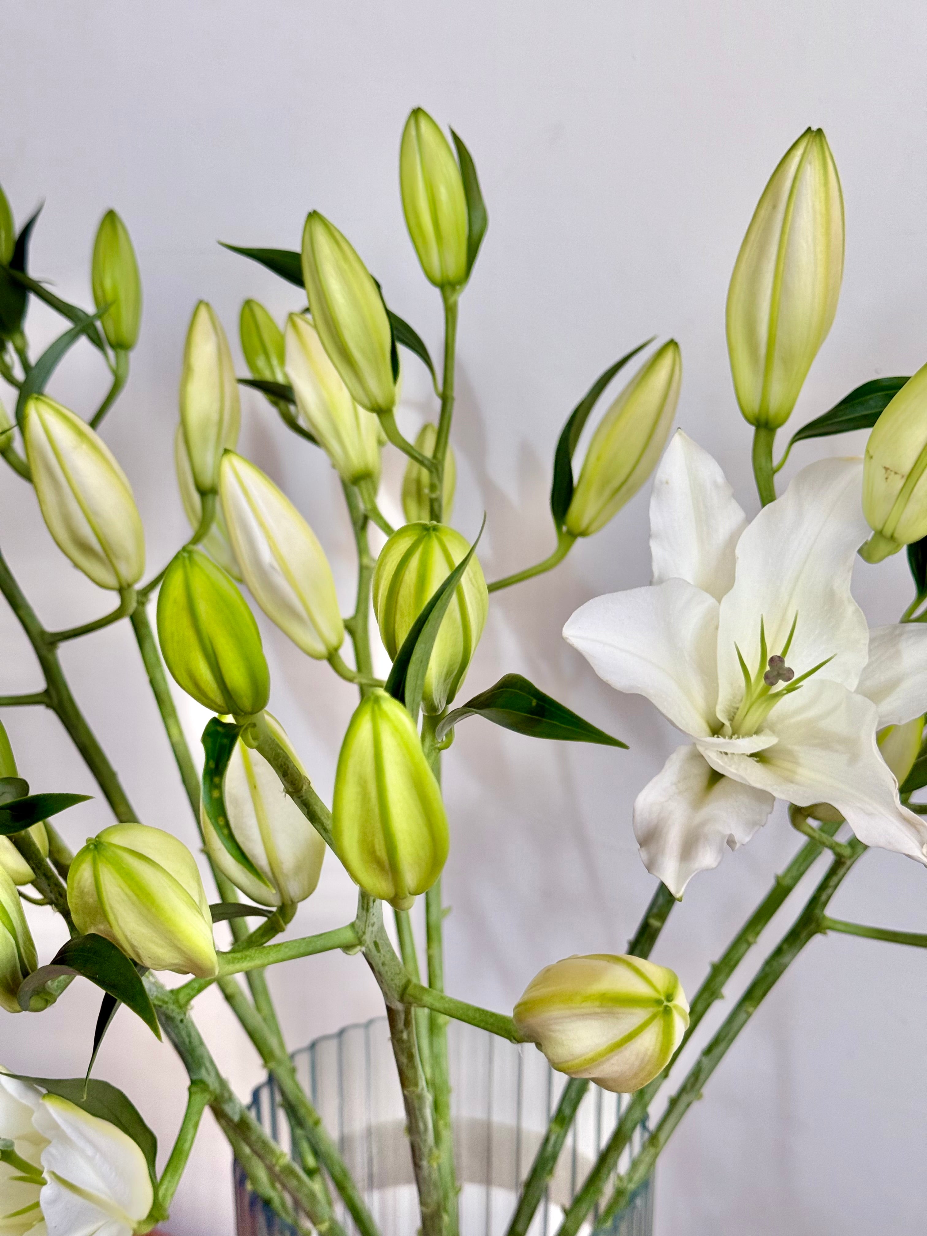 Premium Lily Vase