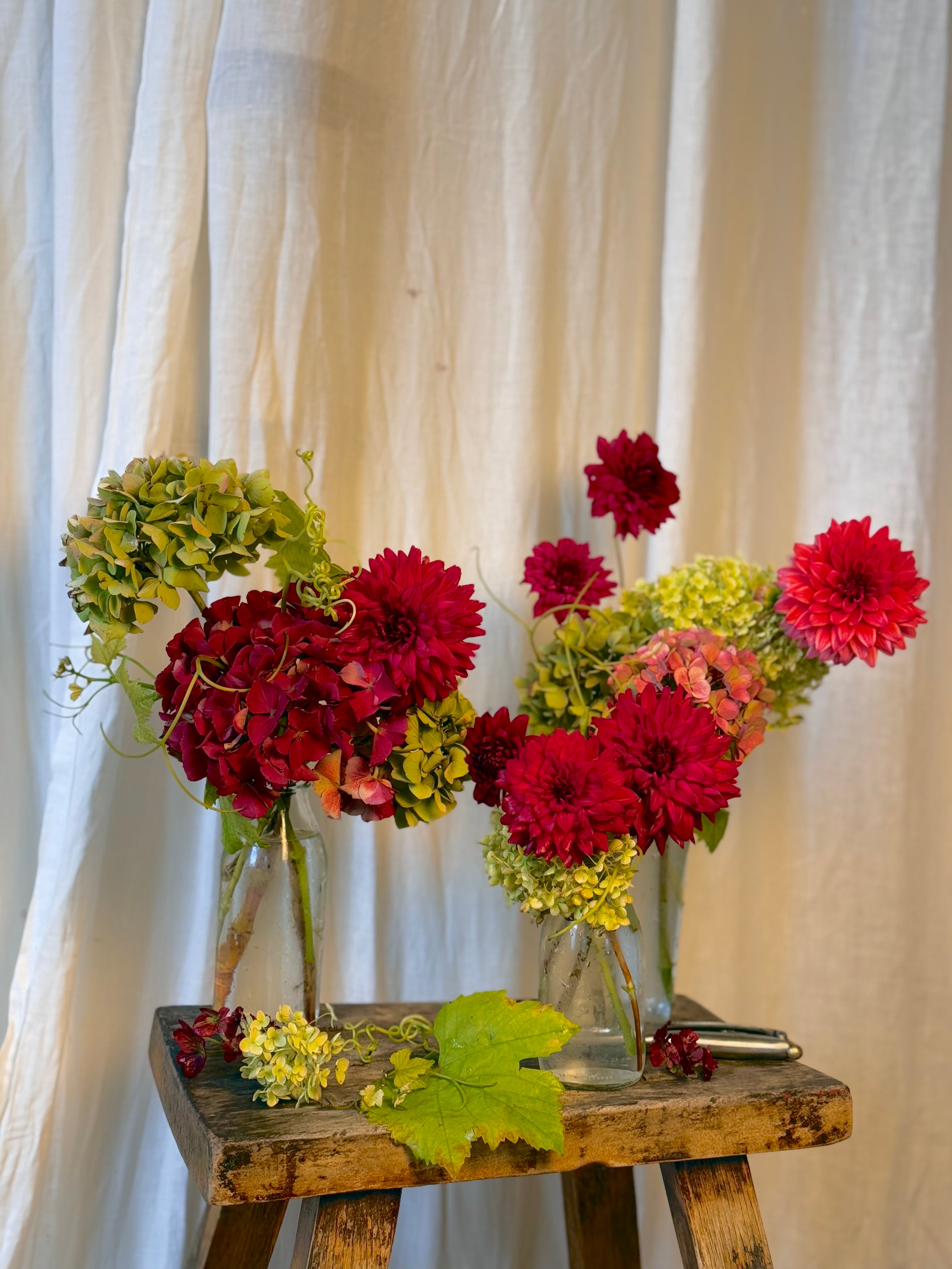 Deluxe Pinot Arrangement