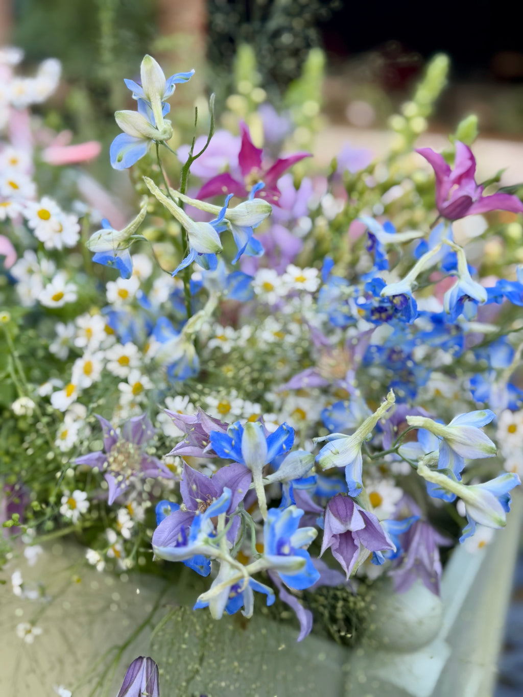 Bouquet of the Month - Meadow